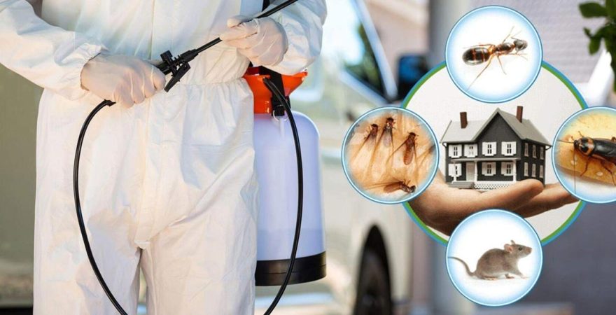 Turhal Böcek İlaçlama