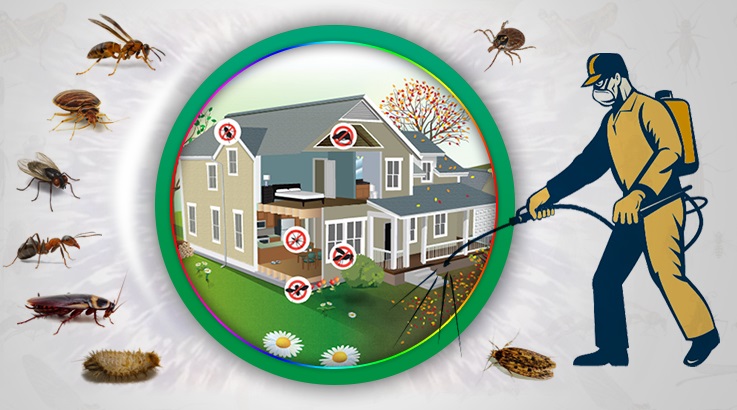 Turhal Böcek İlaçlama