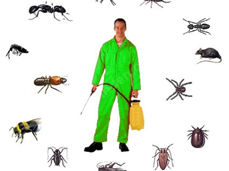 Turhal Böcek İlaçlama